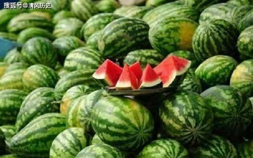 有个免费吃瓜网叫什么 第3张 有个免费吃瓜网叫什么 第3张