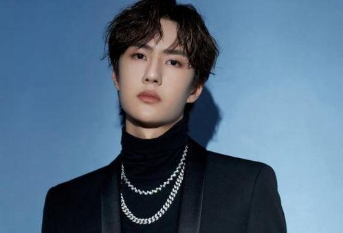 月华爆料王一博视频,揭秘明星日常幕后花絮 第2张 月华爆料王一博视频,揭秘明星日常幕后花絮 第2张